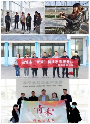 經作室赴阜寧新溝鎮開展“青禾”科技志愿服務活動，助力鹽城農業推廣服務