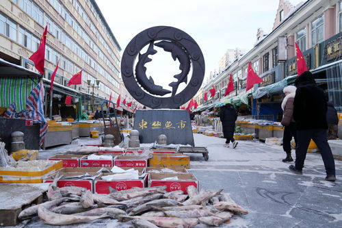 春節(jié)臨近 淡水魚都百年魚市銷售旺 城市生活垃圾經(jīng)營服務(wù)保障升級